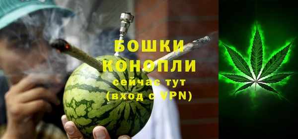 тгк Бронницы
