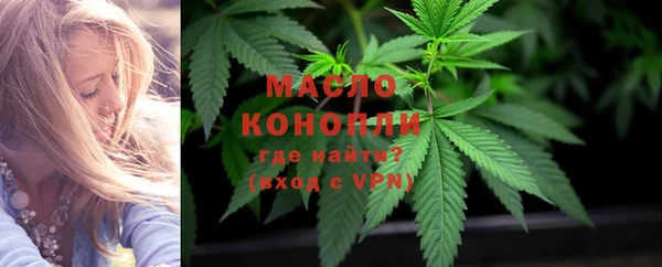 гашик Бородино