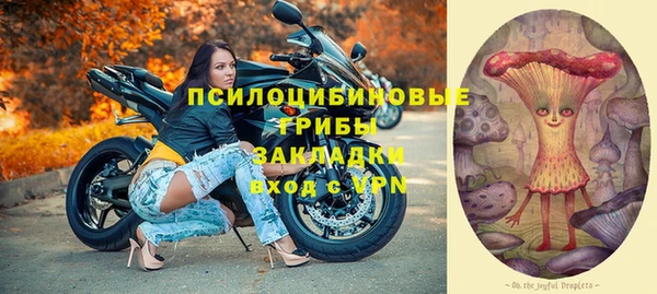 тгк Бронницы