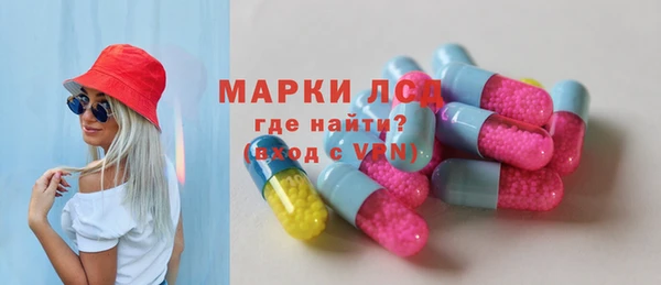 гашик Бородино