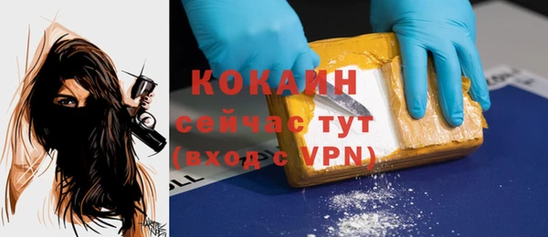 сатива Богданович