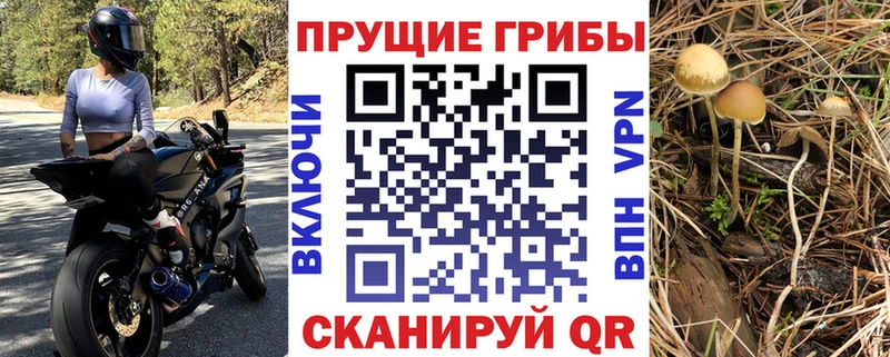Галлюциногенные грибы GOLDEN TEACHER  Торопец 